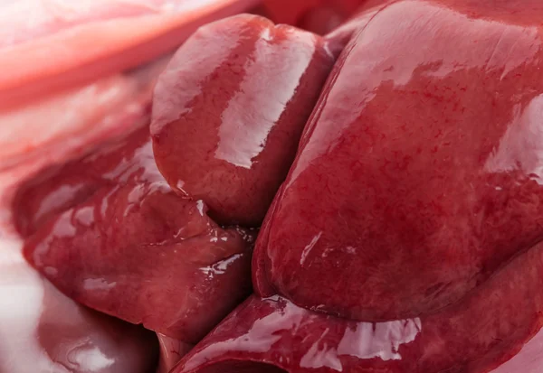 Skinned liver of a rabbit — стоковое фото