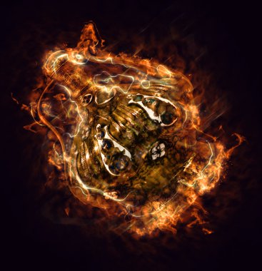 Antika nesne. Alaaddin'in sihirli lambası