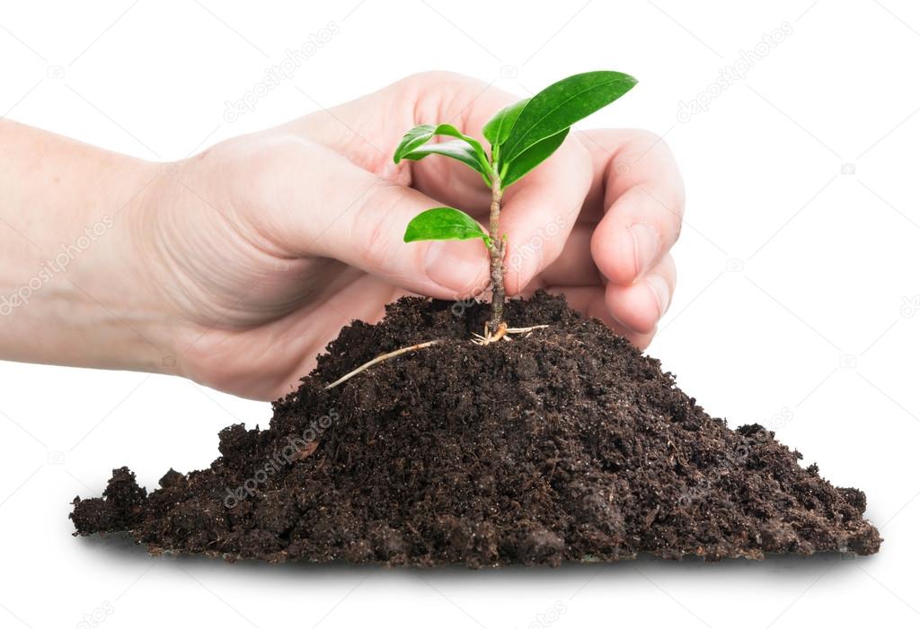 Pile of soil