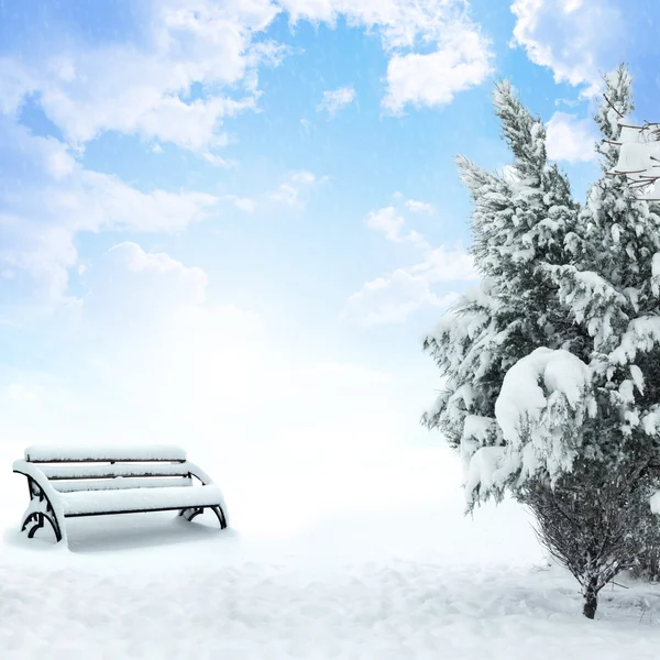 Zimní vánoční sníh scéna — Stock fotografie