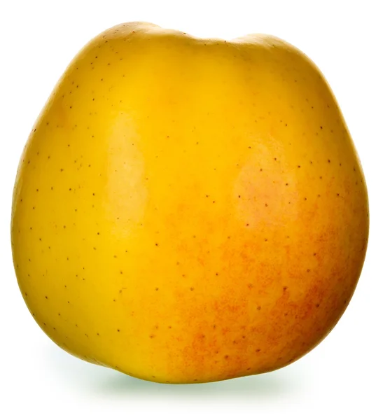 Gula gyllene äpple — Stockfoto