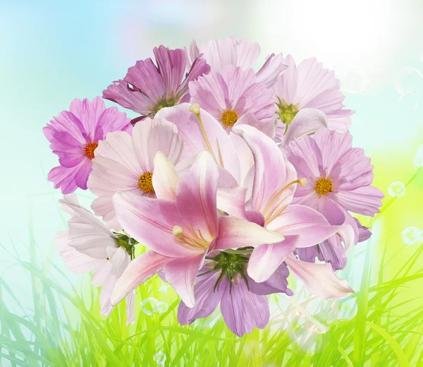 Όμορφα λουλούδια σε αφηρημένο φως ροζ φόντο — Φωτογραφία Αρχείου