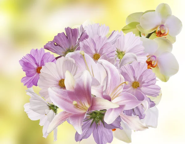 추상적인 빛에 아름 다운 꽃 핑크 배경 — 스톡 사진