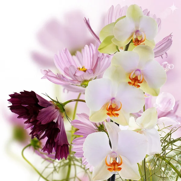 Güzel buket pembe çiçekler — Stok fotoğraf