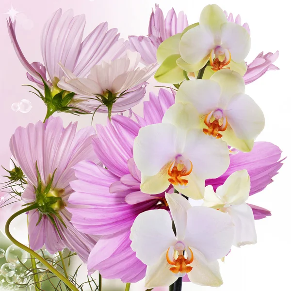 Bellissimo Bouquet Fiori Rosa — Foto Stock