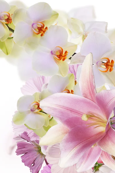 Orchidee met lelie. Bloemboeket — Stockfoto