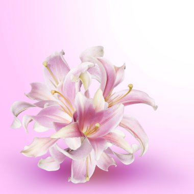 güzel çiçek tasarımı