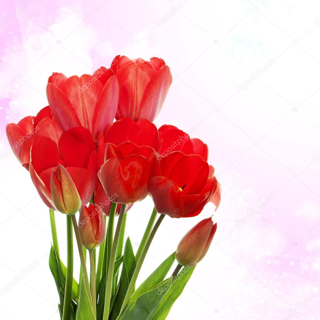diseño de la flor hermosa fotos de stock alex150770 124511624