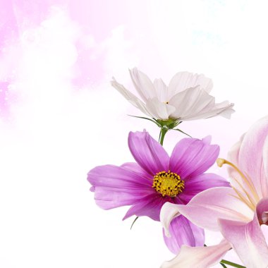 güzel çiçek tasarımı