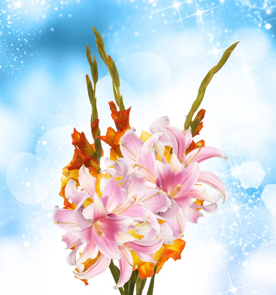 Gladiolus.Beau Bouquet — Photo