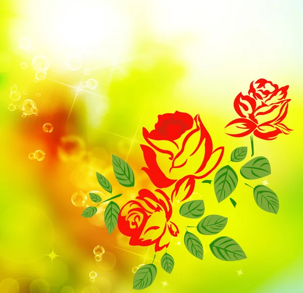 Blommor rosor — Stockfoto