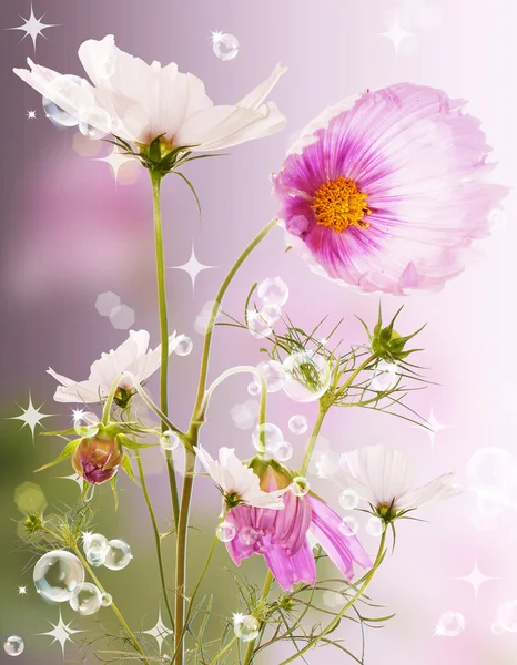 꽃 봄 배경 — 스톡 사진