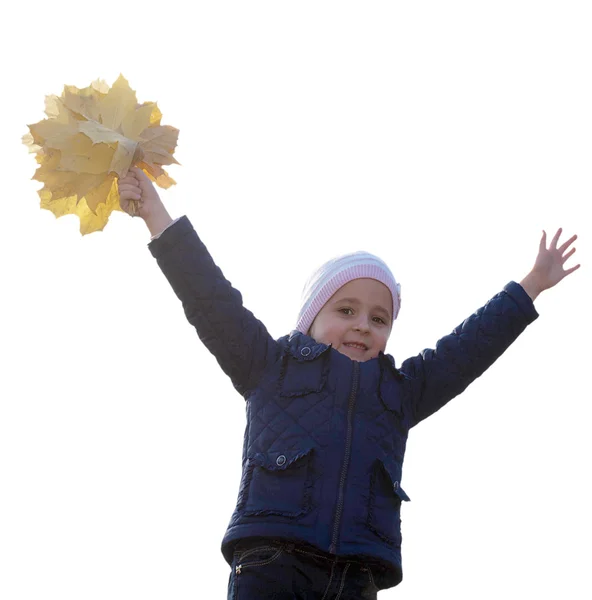 Glückliches kleines Mädchen mit einem Strauß herbstlicher gelber trockener Blätter — Stockfoto