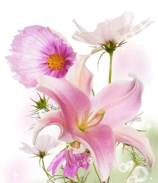 Güzel kart çiçekler. Japon Lily