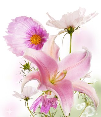 Güzel kart çiçekler. Japon Lily