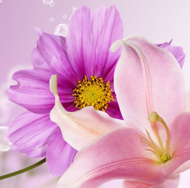 Güzel kart çiçekler.