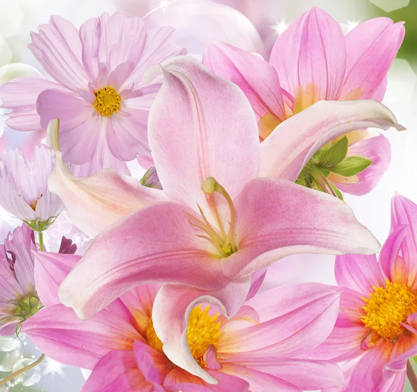 A virágok szép kártyával. Japán liliom — Stock Fotó