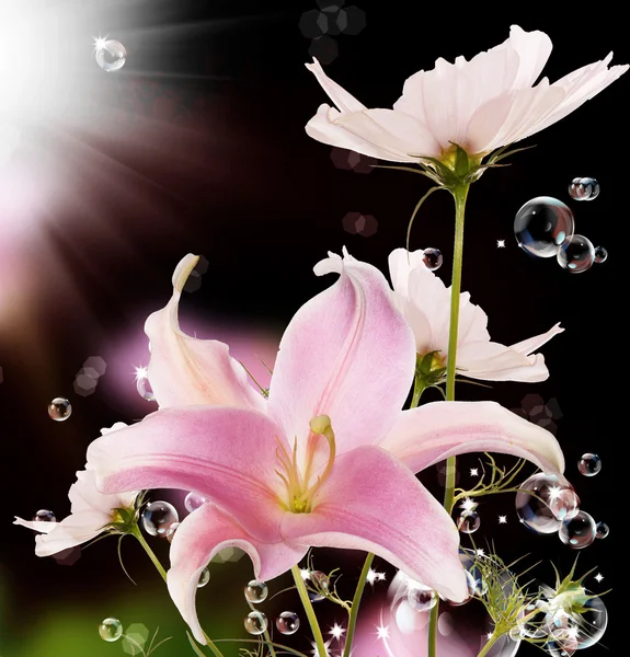 Blommar vackert kort. Japanska Lily — Stockfoto
