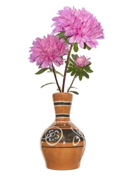 Beyaz arka plan üzerinde seramik vazoda güzel buket sonbahar çiçekler