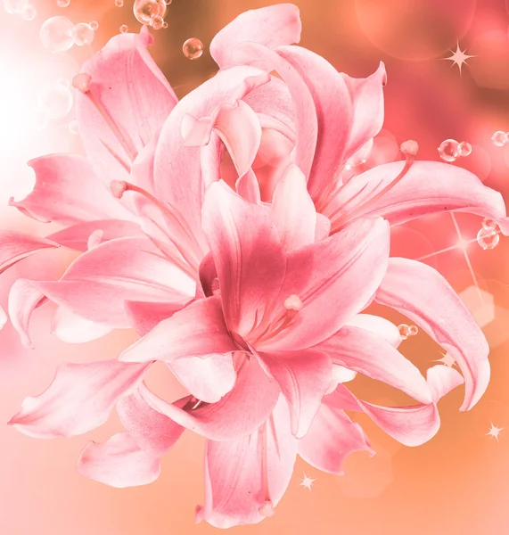 Flowers beautiful card — Stock Photo, Image