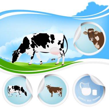 Cow.Farming süt ürünleri. Taze süt