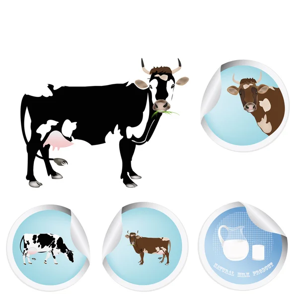 Cow.Milk.Bio produits laitiers — Image vectorielle