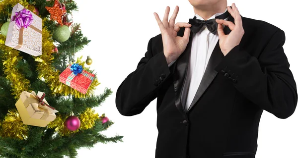 Tuxedo.Holiday jul — Stockfoto