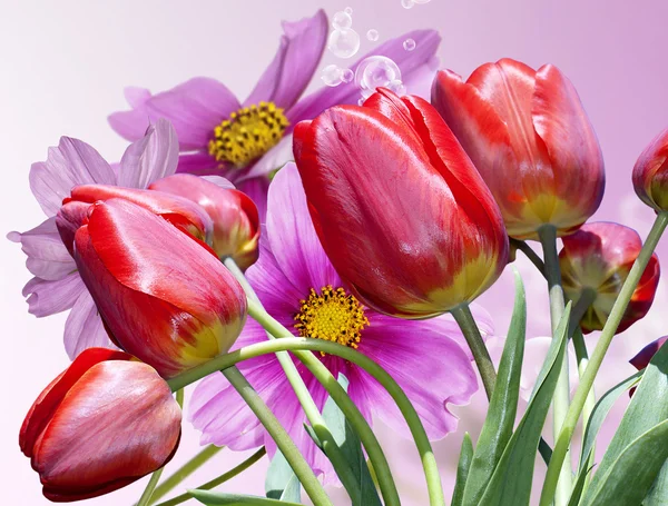 El fondo de las hermosas flores —  Fotos de Stock