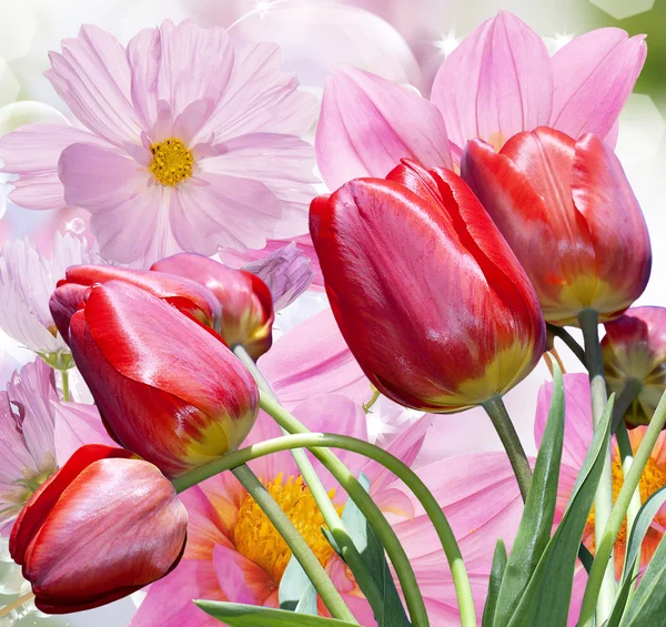 A háttérben a gyönyörű virágok — Stock Fotó