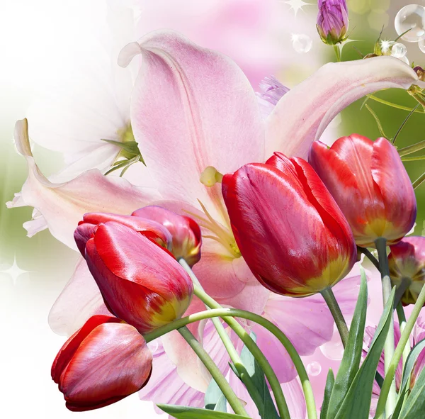 Garden beautiful red tulips.Flowers background — Stock Photo, Image