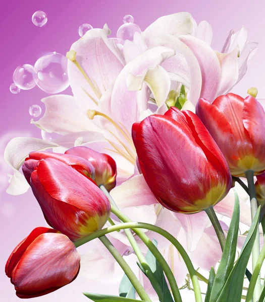 Giardino belle tulips.Flowers rosso sfondo — Foto Stock