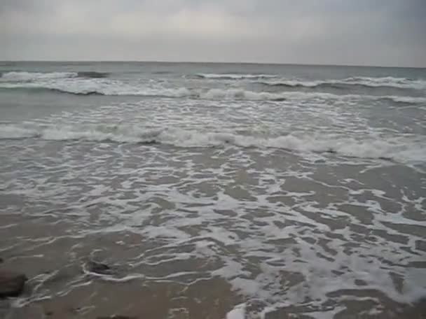 Балтийский морской пейзаж, серфинг — стоковое видео