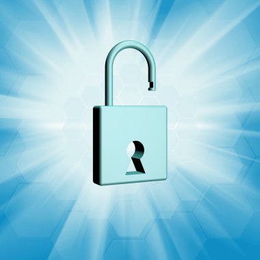 Bilgisayar güvenlik mali iş. Güvenlik Internet