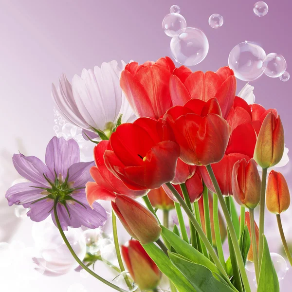 Prachtige verse rode tulpen op abstracte voorjaar aard achtergrond — Stockfoto