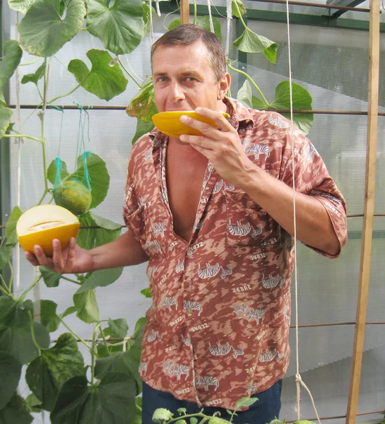 Hombre con melón de jardín amarillo maduro.Vitamina de la fruta — Foto de Stock