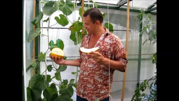 Man med mogen gul trädgård melon — Stockvideo