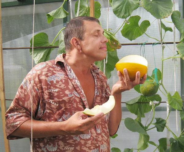 Mand spiser moden gul haven melon - Stock-foto