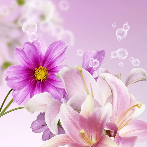 Τα όμορφα λουλούδια. Λουλούδια κήπων φύση φόντο — Φωτογραφία Αρχείου