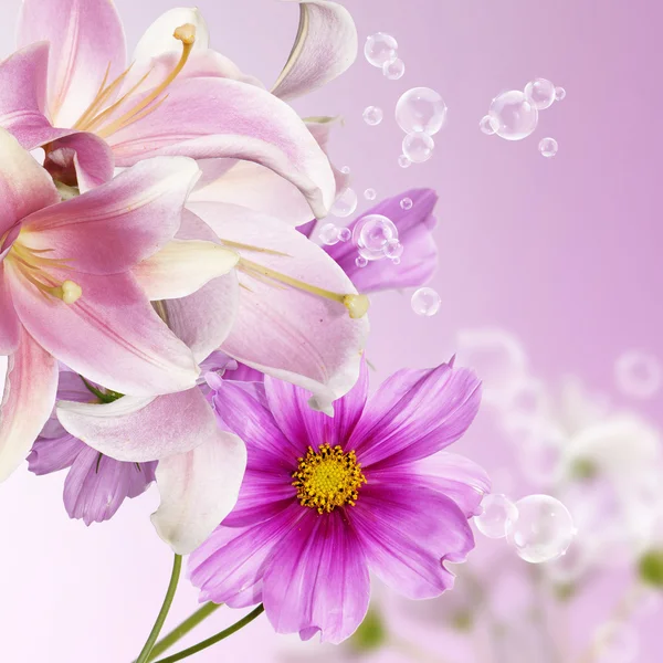 Krásné květiny. Zahradní květiny přírodní pozadí — Stock fotografie