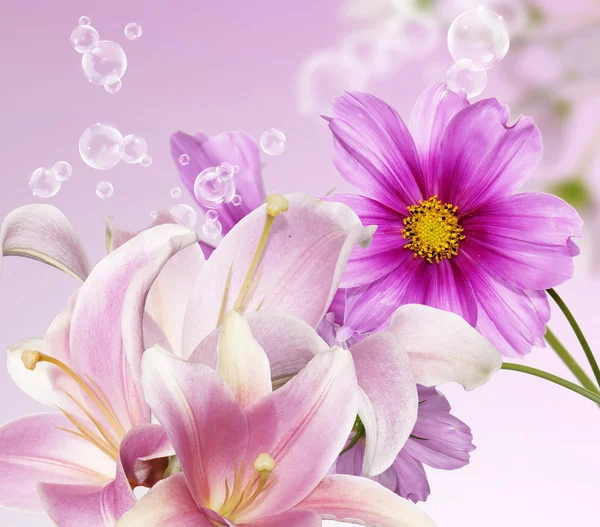 Schöne Blumen. — Stockfoto