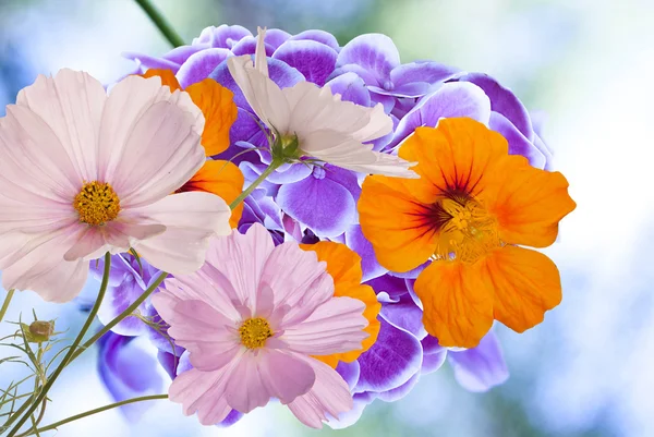 Hermosas flores en el fondo abstracto de la naturaleza verano — Foto de Stock