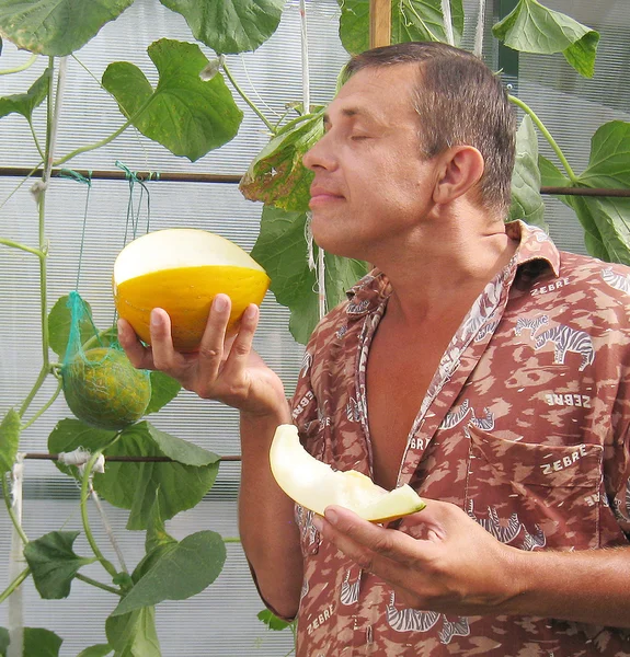 Adam olgun sarı Bahçe karpuz yeme — Stok fotoğraf