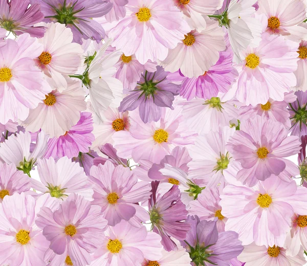 Beau bouquet jardin de fleurs roses — Photo