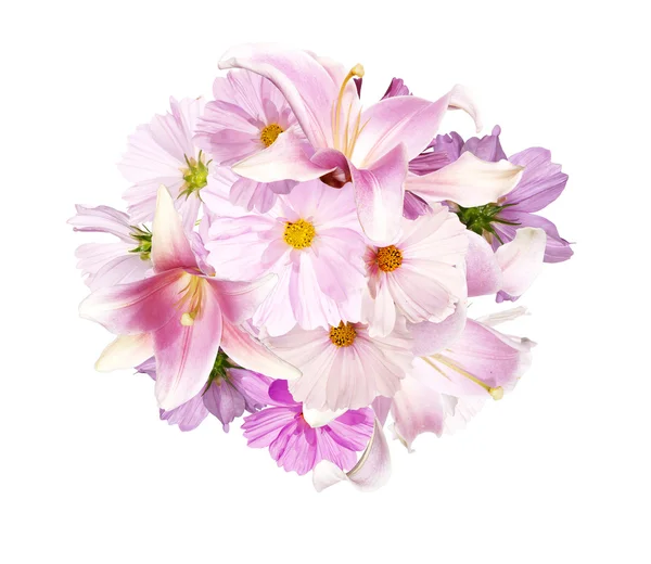 Όμορφη ανθοδέσμη ροζ λουλούδια στον κήπο στο λευκό φόντο μόνωσ — Φωτογραφία Αρχείου
