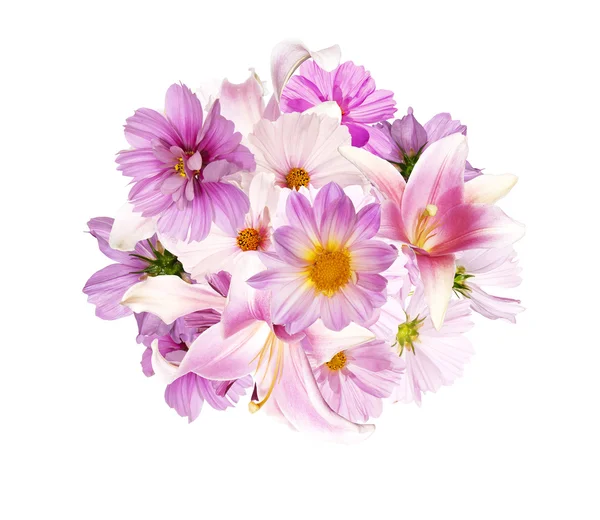 Красивий букет рожевих квітів сад на білому тлі isolat — стокове фото