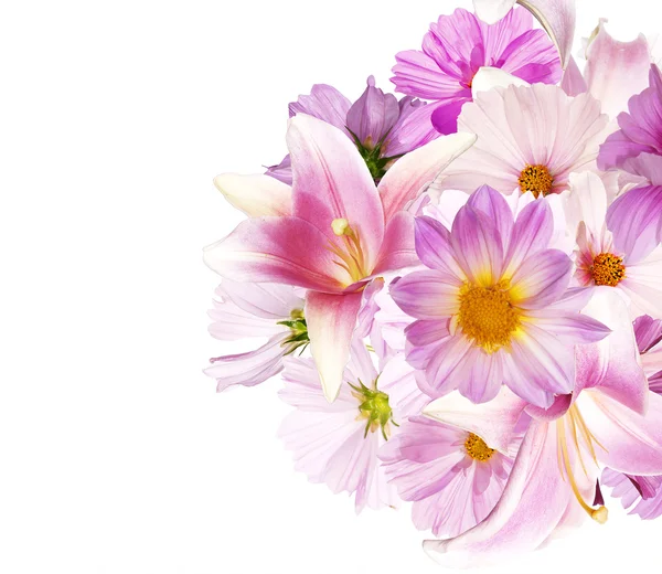 Güzel buket Pembe Çiçek Bahçesi beyaz arka plan isolat üzerinde — Stok fotoğraf