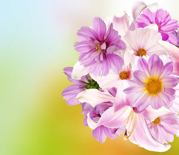 Bonito buquê de flores rosadas.Lily., orquídeas, camomila rosa — Fotografia de Stock