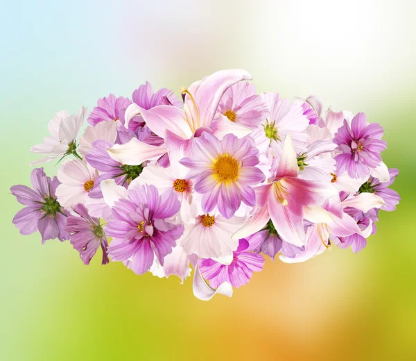 Ορχιδέα λουλούδια σε αφηρημένα φόντο — Φωτογραφία Αρχείου