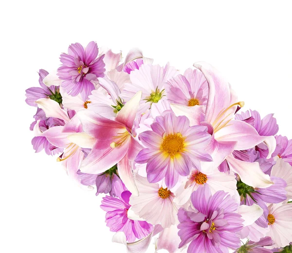 Gyönyörű csokor rózsaszín virágok kert, a fehér háttér isolat — Stock Fotó