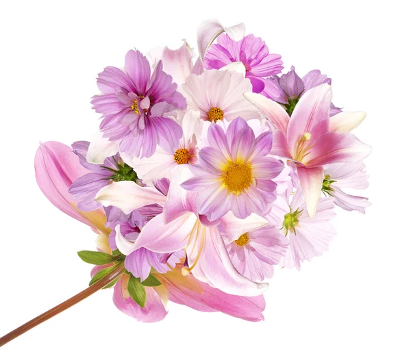 Όμορφη ανθοδέσμη ροζ λουλούδια στον κήπο στο λευκό φόντο μόνωσ — Φωτογραφία Αρχείου